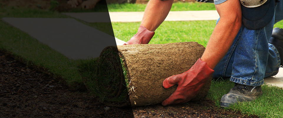 Hyde Park Landscapers